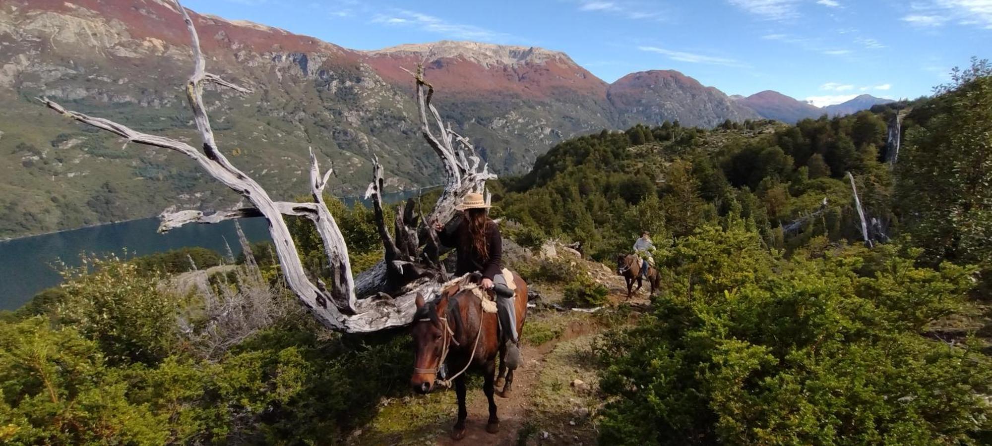 Lodge Peuma Patagonia